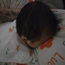 이마트24 의정부백석천점 | 50일 사진 &amp; 아기 컨셉사진, 반려동물 동반 가족사진 촬영 / 포천 핫도그342 애견 글램핑 카라반 방문 후기