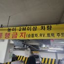 부산활어 | 부산 다대씨파크 하단활어 도다리 쭈꾸미 소라 후기