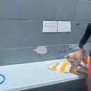 바로빌리지B5 | [뚝섬/건대]뚝섬 한강공원 수영장 주말 1시 방문 후기