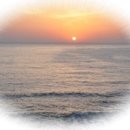 홍도회관 이미지