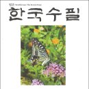 한국수필 2024년 05월호(통권 351호) 이미지