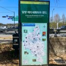 국도24호선가로수 | 국내 1박2일 여행지 코스 전라도 담양여행 담양 메타세콰이어길 메타세콰이어랜드
