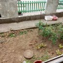 이도초 인근 수선화1차아파트 1층 매매 이미지