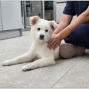 보담동물의료센터 이미지