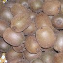 하정농장 이미지