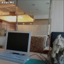 중앙 헬스클럽 이미지