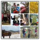 안나의 뜰 사랑채 이미지