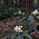 오늘, 제주 이미지