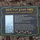 거류초등학교 이미지