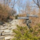 독립문역(3) | 안산 자락길 등산코스 후기: 독립문역 출발 메타세쿼이아 길 산책