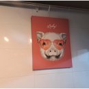 반값족발송파