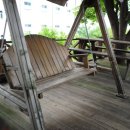 팔공산오리 이미지