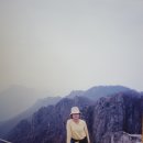 아우라지 자연농원 이미지