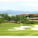 포라이즌 이미지