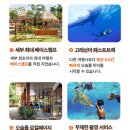 오돈때 | 세부 오모팩 투어 업체 비교 및 추천! 로컬페이지 내돈내산 후기