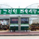 싱싱다육그린원 이미지