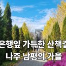 나주 은행나무수목원 후기🍂 주차팁부터 단풍 시기까지 정리!