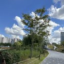 배곧생명공원 이미지