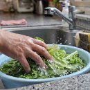 (주방) “베이킹소다, 식초 아니다..” 상추 농약 99% 제거하는 세척법 이미지