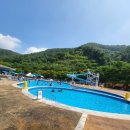 엘리시안강촌수영장 | 엘리시안 강촌 수영장 후기