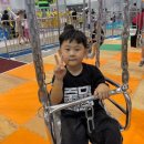 키즈중앙태권도장 이미지