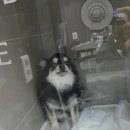 루팡호텔 이미지