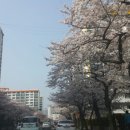 이제 부산 이미지