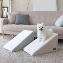 펫하우스 이미지