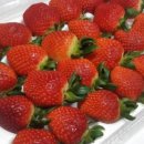 옛살비농장 이미지