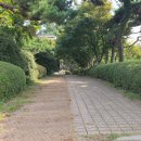 숲속의 정원 이미지