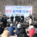 벚꽃 음악에 담아 봄 - 야외콘서트 개최 이미지