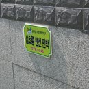 섬초롱민박 이미지