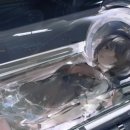 타이탄PC존 이미지