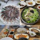 홍도복어 | 통영 맛집 추천 세 곳, 통영 찐맛집 꼭 가보세요! “동피랑전복마을, 연화고등어와전갱이, 홍도복어”