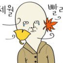 이사맨익스프레스 이미지