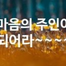 도동유통