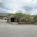 [경주/사설] 포레스트 캠핑장 A-8 듀랑고R2 솔로캠핑