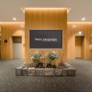 헤이, 서귀포 이미지