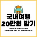 청태산목장 | 지역사랑 휴가지원제 신청 방법 (2026 여행비 50% 환급, 최대 20만원 받기)