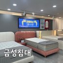 울산가구점 추천, 금성침대 울산삼산점에서 찾은 인생 매트리스 (울산가구거리)
