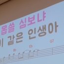 2023.2.16 이천이마트 이자영 명풒 노래교실 / 못난놈 이미지