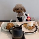 한성필하우스 건너편 이미지