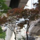 성북-종암-1530 이미지