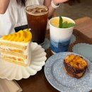 린도카페 | 포항 오도리 카페 린도카페 내돈내산 망고케이크, 에그타르트 맛집