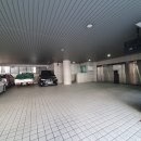 에이스골프존스크린 이미지