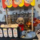 댕글멍글 이미지