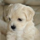 멍 때리지마 이미지