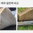 본량유통