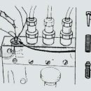 대한부란자 이미지