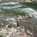 지리산흙돼지 이미지